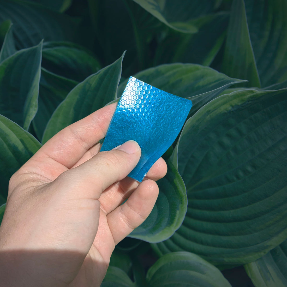 The Future Of Personal Care Begins With Natural Ingredients