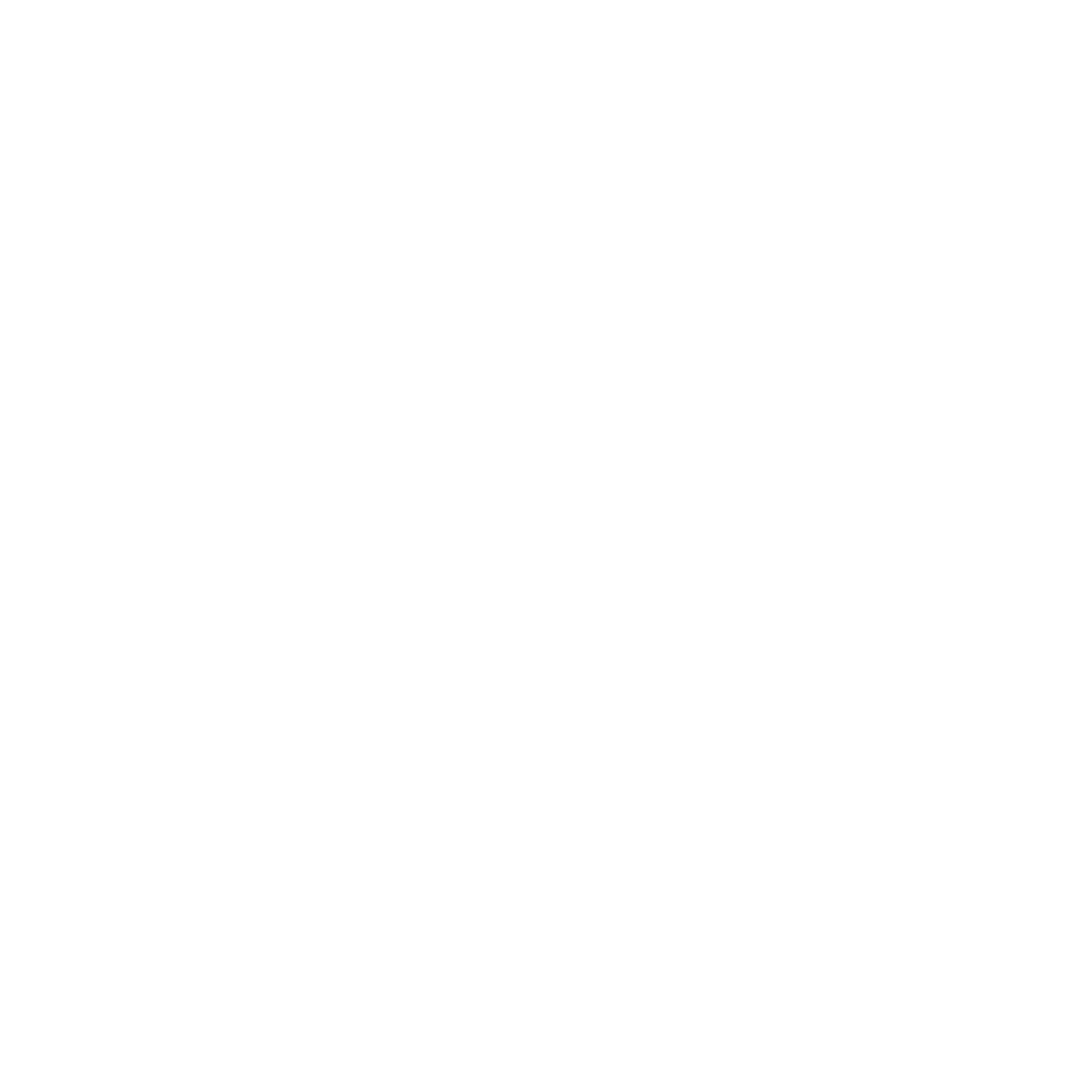 SANSNiK