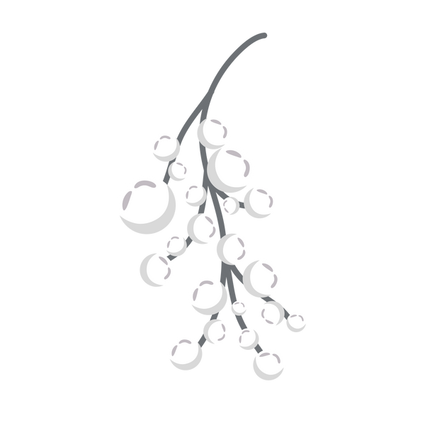 Sodium Laureth Sulfate
